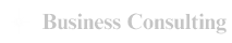 Business Consulting